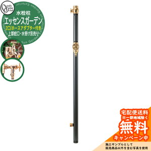 yTtz  GbZXK[f o z[XA_v^[t 㕔֌E󂯕ʔ Qlʐ^F1`R[iuXj I[Nu    AeB