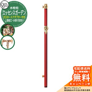 yTtz  GbZXK[f o z[XA_v^[t 㕔֌E󂯕ʔ Qlʐ^F3Nx[ I[Nu    AeB[N