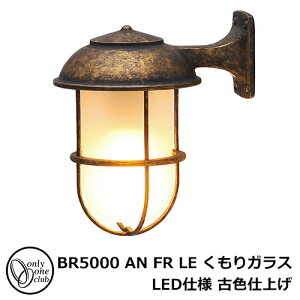 LED Ɩ ^J|[`Cg BR5000 AN FR LE KX LEDdl ÐFdグ K[fCg }v LEDCg O O 哔 GI1-700233 I[Nu