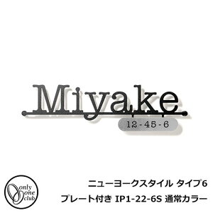 \D A~\D j[[NX^C ^Cv6 v[gt IP1-22-6S ʏJ[ NEW YORK STYLE I[Nu