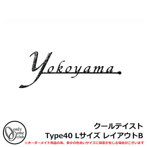 \D ACA\D tHXgqYl[v[g N[eCXgType40 LTCY CAEgB W^Cv I[Nu NA1-S40LBB
