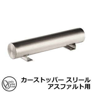 ԏpi Ԏ~ J[Xgbp[ X[ AXt@gp 1̂ I[ p[LOubN ԏ CAR STOPPER
