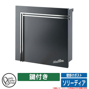 X֎ Xփ|Xg Ǌ||Xg \[fBA t I[Nu ONLY ONE CLUB SOLIDIA C[WFAFTypeA