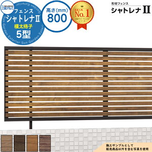 yTtz`ރtFX VgiII 5^ (iq) t[x^Cv H800 ď́F2008 tFX{(1)̂ SHR-5-2008 X^_[h^Cv OA~ tFX ډB O E A