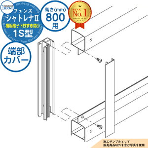 yiz `ރtFX VgiII 1S^ (iqVԏ)Жʖؒ t[x^Cv H800 ď́F2008 [Jo[(1gF[܂)̂ OA~ tFX ډB O E A~ 