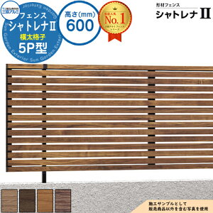 yTtz`ރtFX VgiII 5P^ (iq) t[x^Cv H600 ď́F2006 tFX{(1)̂ SHR-5P-2006 v~A^Cv OA~ tFX ډB O E A~