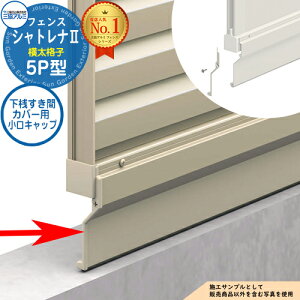 yiz `ރtFX VgiII 5P^ (iq) t[x^Cv pIvV VԃJo[p Lbv(1g)̂ OA~ tFX ډB O E A~ DIY 