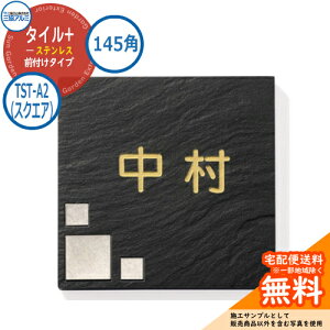 \D XeX  ^C+XeX 145p^Cv ` TST-A2iXNGAj Ǖtp OA~ \DC[WV~[VΉ