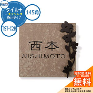 \D XeX  ^C+XeX 145p^Cv ` TST-C2B Ǖtp ^CFuE OA~ \DC[WV~[VΉ