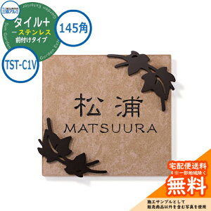 \D XeX  ^C+XeX 145p^Cv ` TST-C1V Ǖtp ^CFx[W OA~ \DC[WV~[VΉ