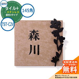 \D XeX  ^C+XeX 145p^Cv ` TST-C2V Ǖtp ^CFx[W OA~ \DC[WV~[VΉ