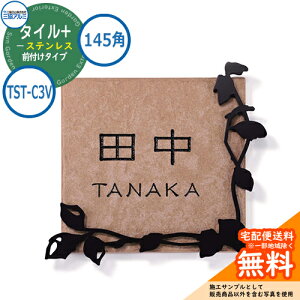 \D XeX  ^C+XeX 145p^Cv ` TST-C3V Ǖtp ^CFx[W OA~ \DC[WV~[VΉ