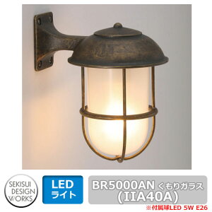 �Ɩ� �}���������v �t�����W���C�g BR5000AN�i������K���X/�ÐF�j IIA40A �Z�L�X�C�f�U�C�����[�N�X �}�������C�g Flange Light