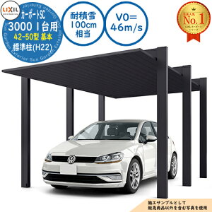 �y���������T�t�z�J�[�|�[�gSC 3000 1��p 42-50�^ ��{ �W����(H22) �A���~�`�ސF(�_�X�N�O���[) �ϐϐ�(100cm����)�EV0=46m/s ��4212×���s5000×����2200 LIXIL ���N�V�� ����p ���ԏ� �J�[�|�[�g �K���[
