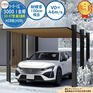 �y���������T�t�z�J�[�|�[�gSC 3000 1��p 33-57�^ �c2�A�� H28��(H28) ���b�s���O�`�ސF(�ؒ��F) �ϐϐ�(100cm����)�EV0=46m/s ��3319×���s11425×����2800 LIXIL ���N�V�� ����p ���ԏ� �J�[�|�[�g �K���[