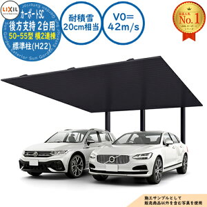 �y���������T�t�z�J�[�|�[�gSC ����x�� 2��p 50-55�^ ��2�A�� �W����(H22) �A���~�`�ސF(�_�X�N�O���[) �ϐϐ�(20cm����)�EV0=42m/s ��10025×���s5470×����2200 LIXIL ���N�V�� ����p ���ԏ� �J�[�|�[