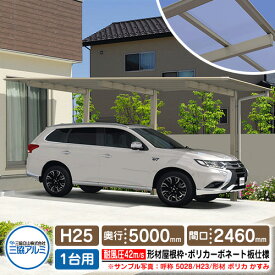 カーポート 1台用 スカイリード 片側支持・基本タイプ H25 呼称：5425 形材屋根枠（パネル材質：ポリカーボネート板） 耐風圧強度：風速42m/s相当 三協アルミ 高さ：2500×奥行：5400×間口：2460 フラット型 車庫 駐車場 日よけ シェード リフォーム