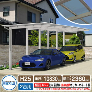 J[|[g 2p XJC[h БxEs2A^Cv H25 ď́F50E5831 `މgiplގFMՒf|J[{l[gj ϕxF42m/s OA~ F2500×s