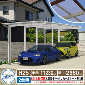 J[|[g 2p XJC[h БxEs2A^Cv H25 ď́F54E5831 ؒgiplގF|J[{l[gj ϕxF42m/s OA~ F2500×sF11230×