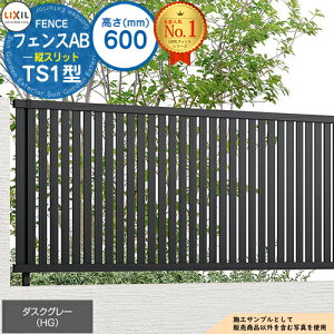 yTtztFXAB TS1^ _XNO[ H600^CviT-6TCYj tFX{̂̂ LIXIL NV tFX ډB ͂ ݒ eBXtFX [o[tFX ډBtFX 