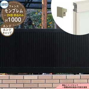 A~tFX ډB ͂ `ރtFX u2N^ H1000^Cvp ď́F2010 IvVGhLbv̂ Lbvi41gj OA~ t[x^Cvp FGZ-2N eBX