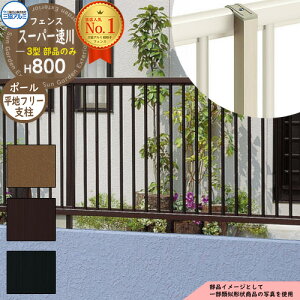 A~tFX ͂ `ރtFX X[p[3^ H800^Cvp ď́F2008 IvV|[̂ t[xinpj OA~ t[x^Cvp SFC-3 eBXtFX [o