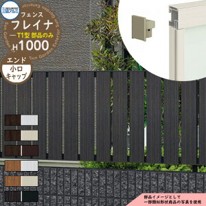 A~tFX ډB ͂ `ރtFX tCiT1^ H1000^Cvp ď́F2010 IvVGhLbv̂ Lbvi41gj OA~ t[x^Cvp WF-T1 eBXt