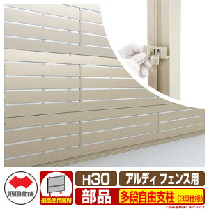 tFX ͂ `ރtFX AfBtFXp iRxi3idlj H3000^CviH30pj 10FiRx l ix ADFR 10TFPS-30 eBXtFX [o[tFX ډB