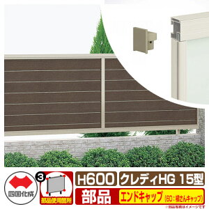 tFX ډB ͂ NfBtFXHG15^ H600i0620TCYj pIvVGhLbv̂ 60FLbvi1gj l Rx CHGF15 60EC eBXtFX [o[tF