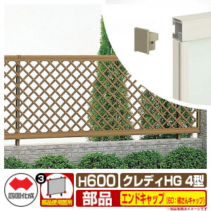 tFX ͂ NfBtFXHG4^ H600i0620TCYj pIvVGhLbv̂ 60FLbvi1gj l Rx CHGF4 60EC eBXtFX [o[tFX ډB