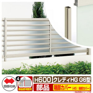 tFX ډB ͂ NfBtFXHGG6^ H600i0620TCYj pIvV[Jo[̂ 45F[Jo[i2{1gj l Rx ̌[o[ CHGFG6 45TC-06 eBXtFX [