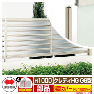 tFX ډB ͂ NfBtFXHGG6^ H1000i1020TCYj pIvV[Jo[̂ 45F[Jo[i2{1gj l Rx ̌[o[ CHGFG6 45TC-10 eBXtFX [