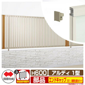 tFX ͂ `ރtFX AfBtFX1^ H600^Cvi0620TCYj pIvVGhLbv̂ 61F[σJo[i1gj l Rx ciqtFX ADFR1 61EKB-06 e