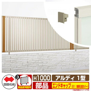 tFX ͂ `ރtFX AfBtFX1^ H1000^Cvi1020TCYj pIvVGhLbv̂ 61F[σJo[i1gj l Rx ciqtFX ADFR1 61EKB-10 