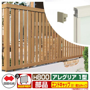 tFX ͂ ؒtFX AOAtFX1^ H800^Cvi0820TCYj pIvVGhLbv̂ 61FLbvi1gj l Rx ciqtFX AGFR1 61EC e