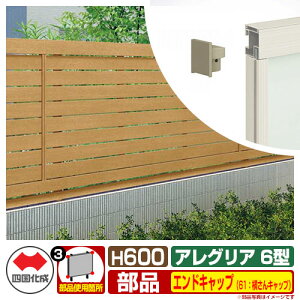 tFX ͂ ؒtFX AOAtFX6^ H600^Cvi0620TCYj pIvVGhLbv̂ 61FLbvi1gj l Rx ډBtFX AGFR6 61EC 