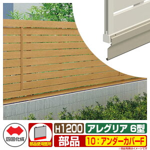 tFX ͂ ؒtFX AOAtFX6^ H1200^Cvi1220TCYj pIvVA_[Jo[F̂ 10FA_[Jo[F l Rx ډBtFX AGFR6 10UC-F eB