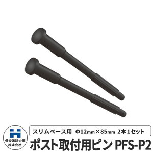 ۈH |XgtbNX |Xgtps Xx[Xp PFS-P2 H S |[ DČΉ v⍇ ԐW ԏ Sۈpi KCh|Xg ˃|[ Ԏ~