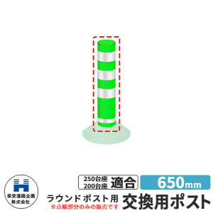 ۈH Eh|Xg250E200p p|Xĝ UW R650 650mm HW C[WFO[ H S |[ DČΉ v⍇ ԐW ԏ Sۈ