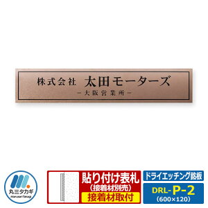 \D XeX\D hCGb`O LTCY DRL-P-2 W600×H120×T1mm ێO^JM Ŕ  Ɨp Зp HƗp }Vp Ɨp Ɩp  ƍ TC l[v[g