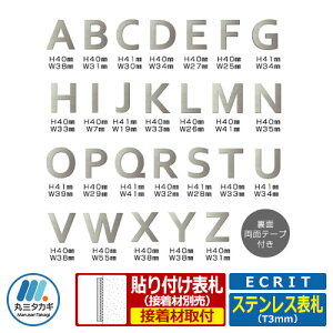 \D XeX\D ECRIT GN ێO^JM XeXwACؕ