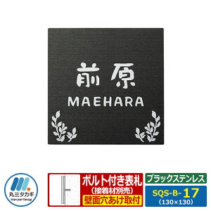 \D XeX\D SQUAD XNAh ubNXeX SQS-B-17 W130×H130×D9.5mm 1.5mm ێO^JM XeX+AN