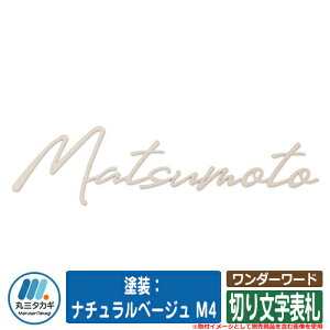 \D  _[[h hFi`x[W M4 CGS IELOGO ێO^JM ؂蕶\D