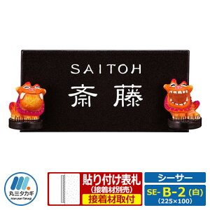 \D  V[T[ SE-B-2 () W225×H100×D8mm ێO^JM