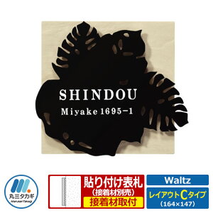 \D XeX ^C R{\D c CAEgC^Cv Waltz WZ-B2-D3 ێO^JM