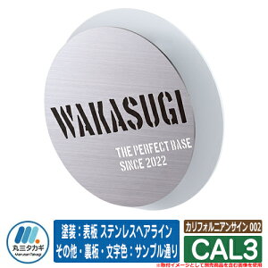 \D  JtHjATC 002 CAL3 hF\ XeXwAC ̑EEFFTvʂ CGS IELOGO ێO^JM \DV~[VΉ