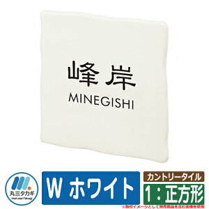 \D  Jg[^C 1F` W zCg hFFF CGS IELOGO ێO^JM \DV~[VΉ