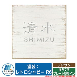 �\�D ������� �f�b�T�� �h���F���g���V���r�[ R6 ���������v���[�g�^�T�C�� �C�G���S IELOGO �ێO�^�J�M ���������\�D �\�D�V�~�����[�V�����Ή�