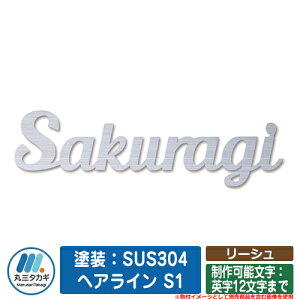 \D  [V hFSUS304 wAC S1 i\Fp12܂Łj CGS ێO^JM