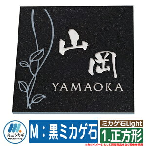 \D  ~JQLight 1.` MF~JQ hFFF fUCFf CGS ێO^JM \DV~[VΉ